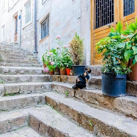 Apartment Ivona دوبروفينك المظهر الخارجي الصورة